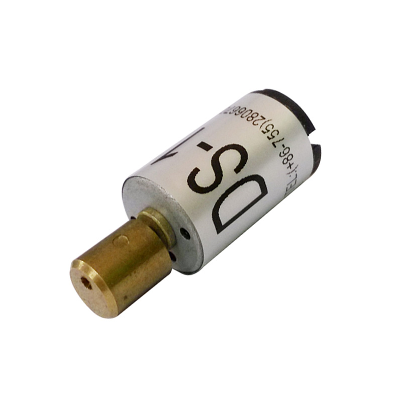 1220 Micro DC Motor